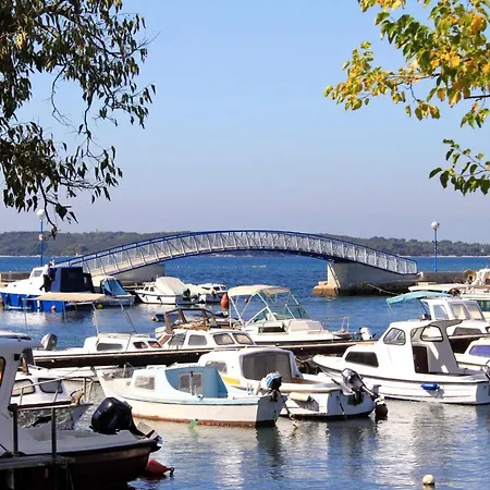 펜션 House With A Parking Space Valbandon, - 11172 *