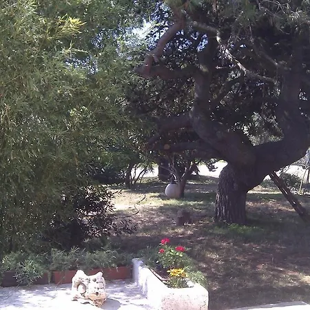 House With A Parking Space Valbandon, - 11172 *